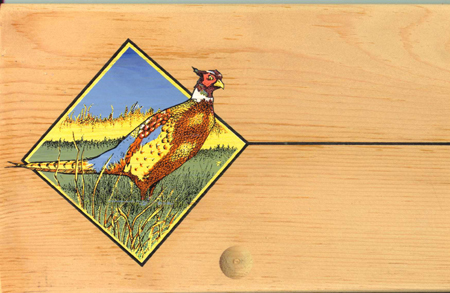 pheasant