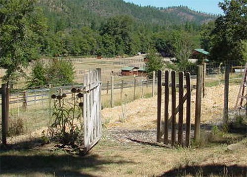 applegate view after