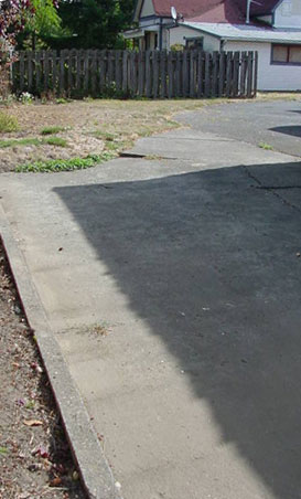 backyard fence after